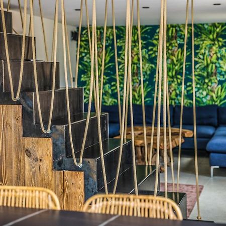 Casa Jungle ! Superb Duplex Apartment, Place Des Lices ! แซ็ง-ทรอเป ภายนอก รูปภาพ